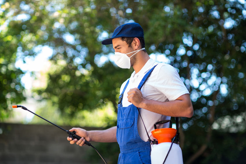 worker with spray mask on spraying