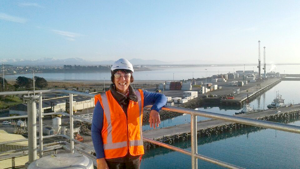 Timaru Occupational Health Dome Safety work